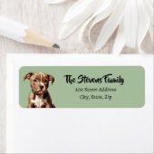 Pitbull-Rücksendeadresse (Insitu)