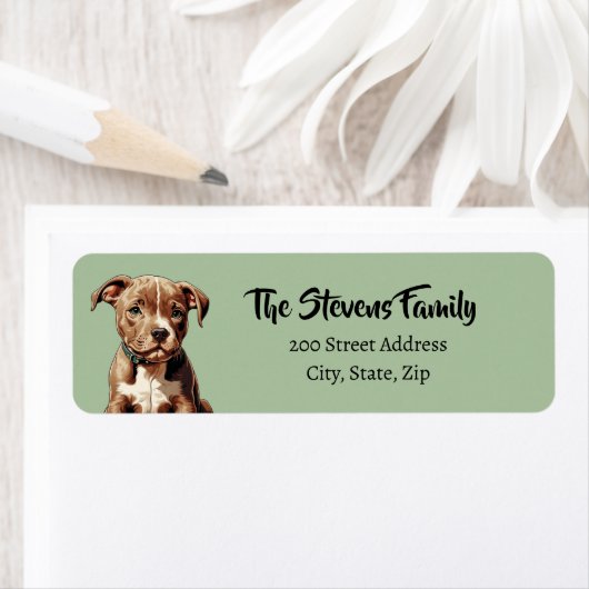 Pitbull-Rücksendeadresse (Insitu)