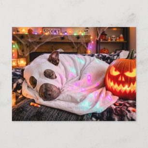 Pitbull schläft in Gespensterkostüm Postkarte
