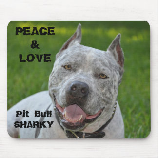 Pitbull sharky mousepad Hundpitbull Lächeln