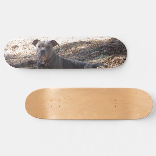 Pitbull Skateboard (Horizontal)