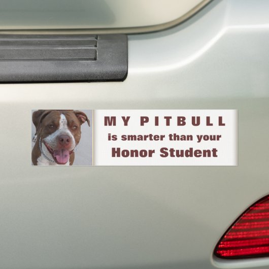 Pitbull Spiel mit mir Autoaufkleber (Auf Auto)