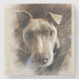 Pitbull Steinuntersetzer