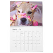 Pitbull stolz kalender (Feb 2027)