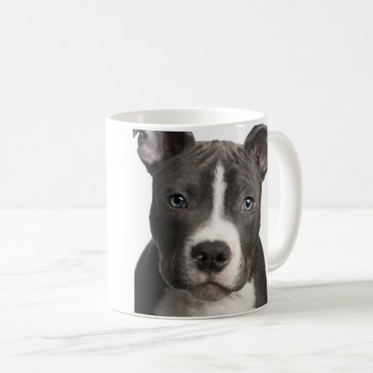 Pitbull Tasse (VorderseiteRechts)