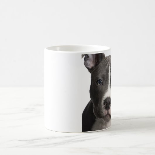 Pitbull Tasse (Mittel)