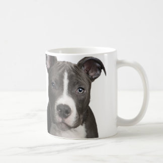 Pitbull Tasse