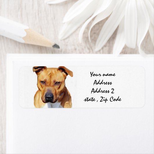 Pitbull Terrier (Insitu)