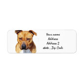 Pitbull Terrier (Vorne)