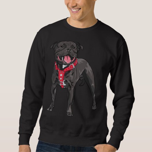Pitbull Terrier 376 Sweatshirt (Vorderseite)