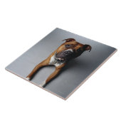 Pitbull Terrier, das sich hinlegt Fliese (Seite)