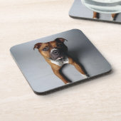 Pitbull Terrier, das sich hinlegt Untersetzer (Linke Seite)