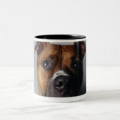 Pitbull Terrier, das sich hinlegt Zweifarbige Tasse (Mittel)