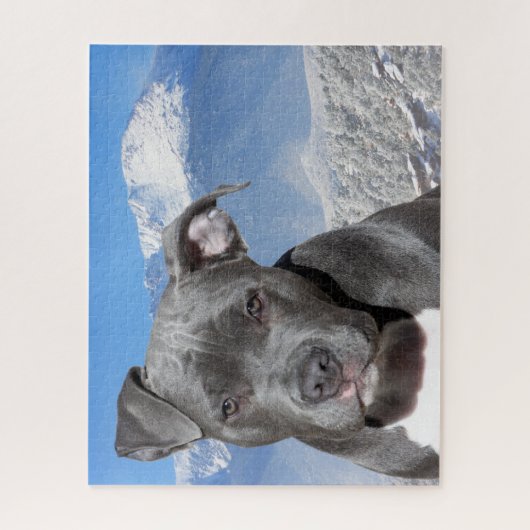 Pitbull Terrier. Puzzle (Vertikal)