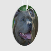 Pitbull Terrierhund Ornament (Vorderseite)