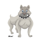 Pitbull Tischtennis Schläger