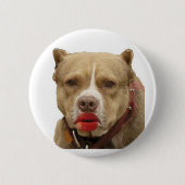 Pitbull tragender Lippenstift-Knopf Button (Vorderseite)