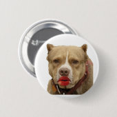 Pitbull tragender Lippenstift-Knopf Button (Vorne & Hinten)