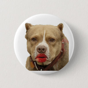 Pitbull tragender Lippenstift-Knopf Button