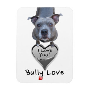 Blaues Nase Pitbull Geschenke Zazzle De