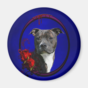 Pitbull und blutige Rosen Magnet
