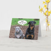 Pitbull und Rottweiler Abschluss Told Ya Card Karte (Gelbe Blume)