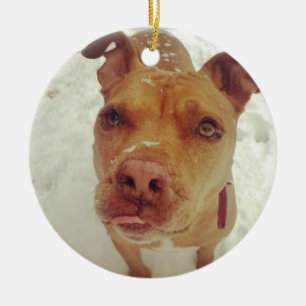Pitbull-Weihnachtsverzierung Keramikornament