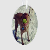 Pitbull-Weihnachtsverzierung Ornament (Vorderseite)