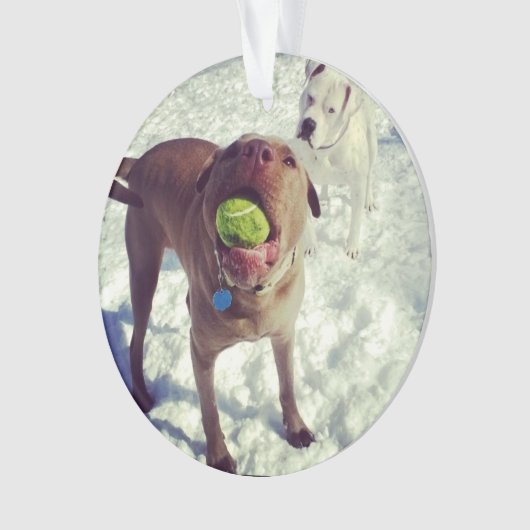 Pitbull-Weihnachtsverzierung Ornament (Vorderseite)