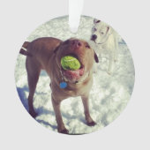 Pitbull-Weihnachtsverzierung Ornament (Vorderseite)