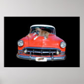 Pitbull Welpe auf einem klassischen roten Auto, Poster (Vorne)