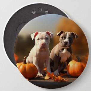 Pitbull Welpe Herbst Delight Pumpkin Button