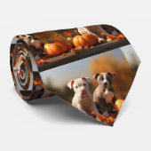 Pitbull Welpe Herbst Delight Pumpkin Krawatte (Gerollt)