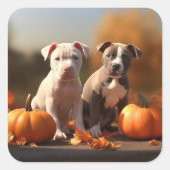 Pitbull Welpe Herbst Delight Pumpkin Quadratischer Aufkleber (Vorderseite)