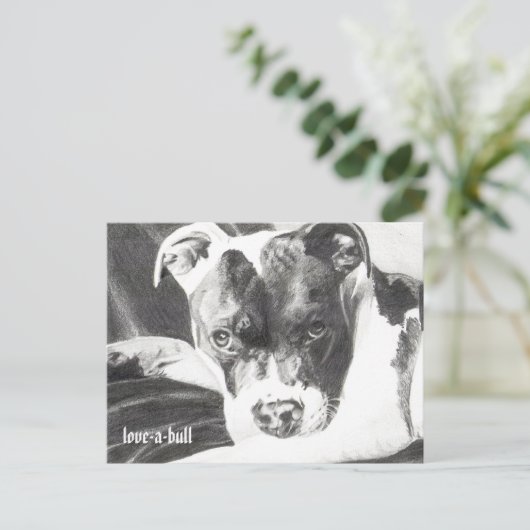 Pitbull Welpe in Bleistift 4 von Jacob Grimm Postkarte (Stehend Vorderseite)