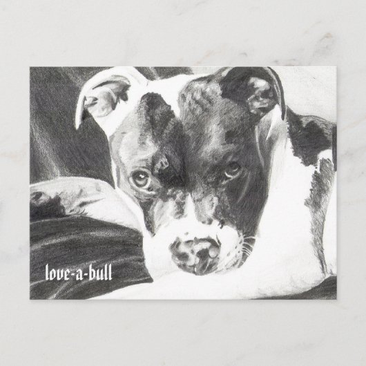 Pitbull Welpe in Bleistift 4 von Jacob Grimm Postkarte (Vorderseite)