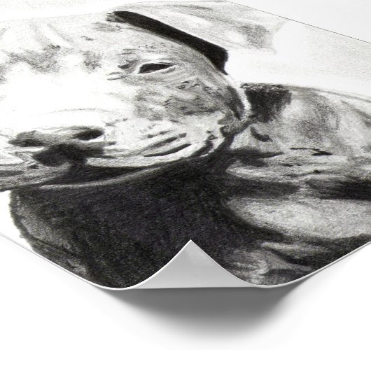 Pitbull Welpe in Bleistiftdruck von Jacob Grimm Poster (Ecke)