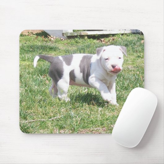 PITBULL WELPE MOUSEPAD (Mit Mouse)