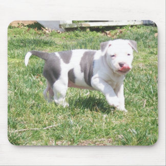 PITBULL WELPE MOUSEPAD