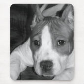 Pitbull Welpe mousepad (Vorne)