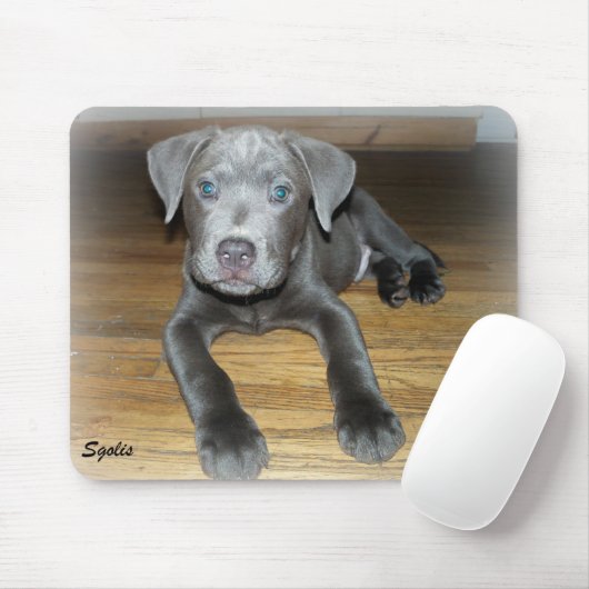 Pitbull Welpe / Niedlicher Hund Mousepad (Mit Mouse)
