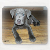 Pitbull Welpe / Niedlicher Hund Mousepad (Vorne)