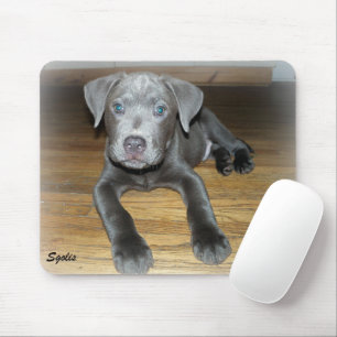 Pitbull-Welpe / Süßer Hund Mousepad