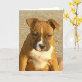 Pitbull Welpen-Grußkarte Karte (Gelbe Blume)