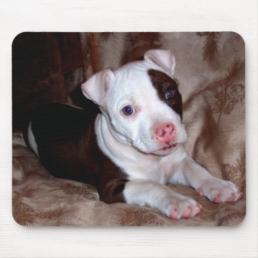 Pitbull-Welpen-Mauspad Mousepad (Vorne)