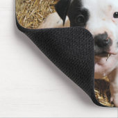 PitBull Welpen Mousepad (Ecke)