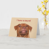 Pitbull Welpengeburtstag Karte (Gelbe Blume)