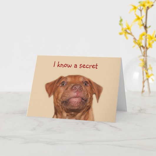 Pitbull Welpengeburtstag Karte (Gelbe Blume)