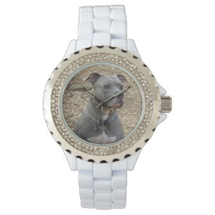 Pitbull Women's Watch Armbanduhr