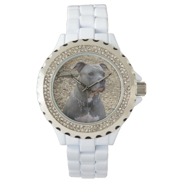 Pitbull Women's Watch Armbanduhr (Vorderseite)